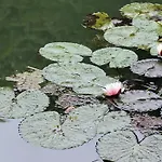 Nyaraló Am Weiher By Interhome *