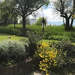 Am Weiher By Interhome *