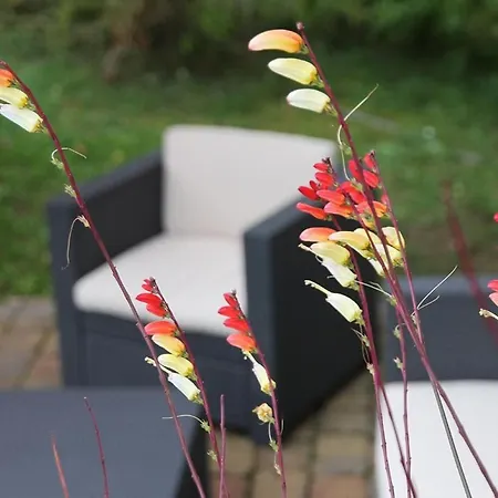 Vakantiehuis Am Weiher By Interhome