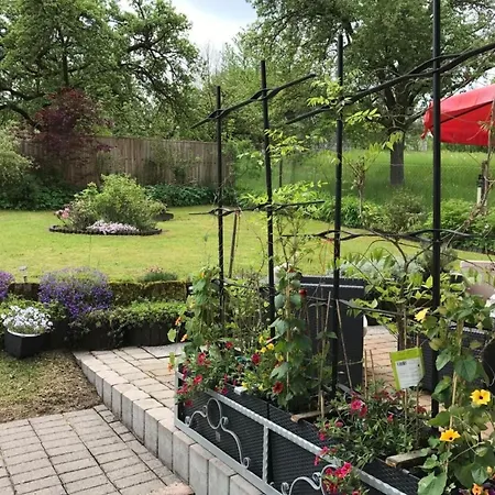 Am Weiher By Interhome Fischbach (Gotha)