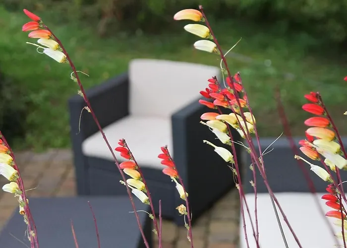 Vakantiehuis Am Weiher By Interhome