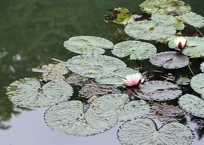 Vakantiehuis Am Weiher By Interhome *