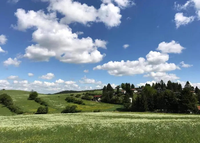 Am Weiher By Interhome Fischbach (Gotha)