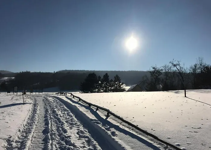 Am Weiher By Interhome *